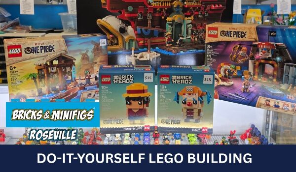 Bricks and Minifigs Minnesota Things To Do large