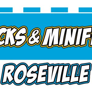 Bricks and Minifigs Roseville logo